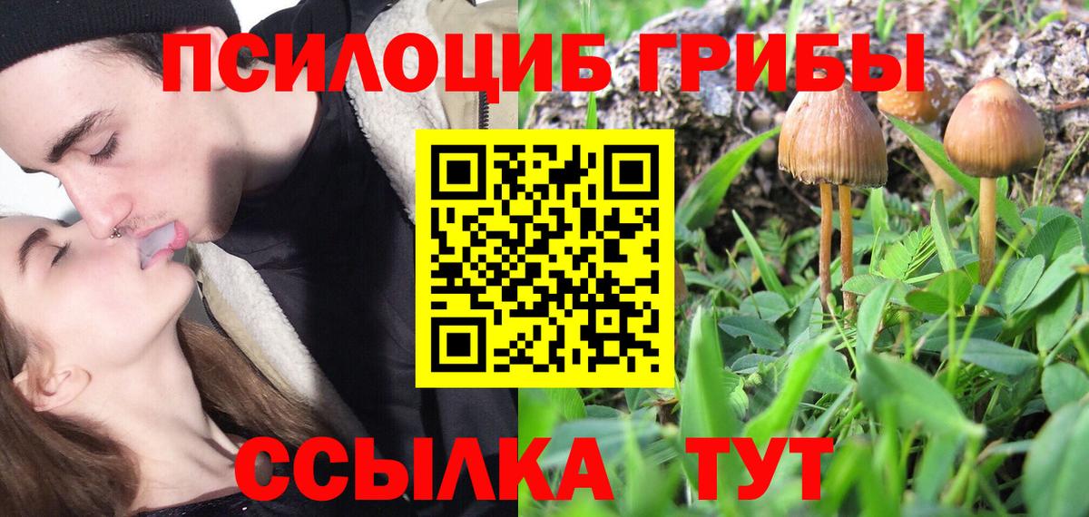 Галлюциногенные грибы Psilocybe Троицк