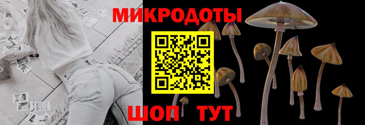Троицк  Псилоцибиновые грибы Psilocybe  Вход с VPN  наркота  Галлюциногенные грибы MAGIC MUSHROOMS 